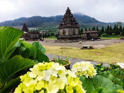 \"Candi